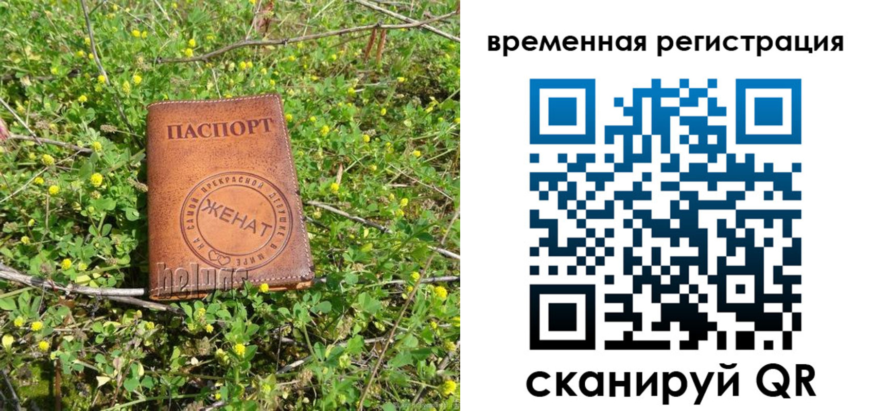 прописка регистрация в Похвистнево